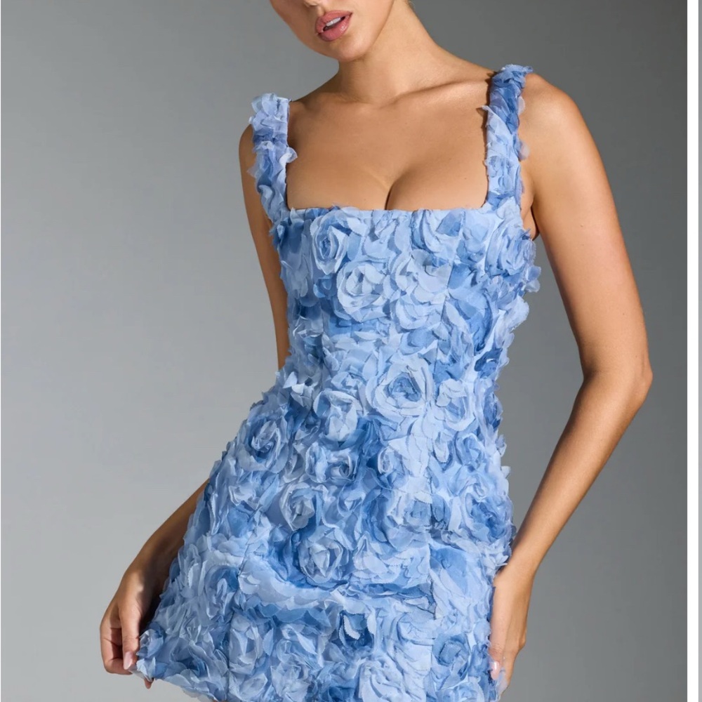 Oh Polly Powder Blue 3D Floral Mini Dress